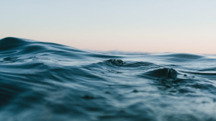 Water Cremation: A Caring Alternative